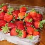 Put the strawberries back in the container.  Paper towel should soak up the water.