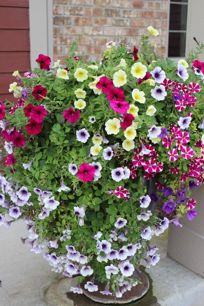 pretty planters, planter ideas
