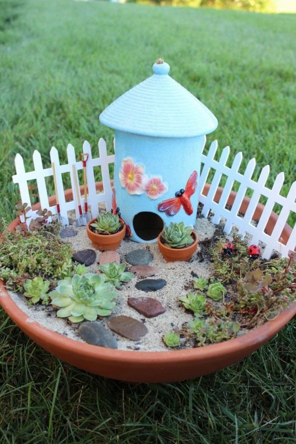 Fairy Garden