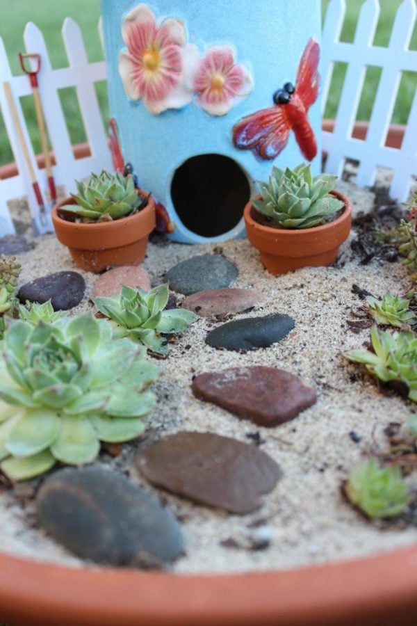 Fairy Garden