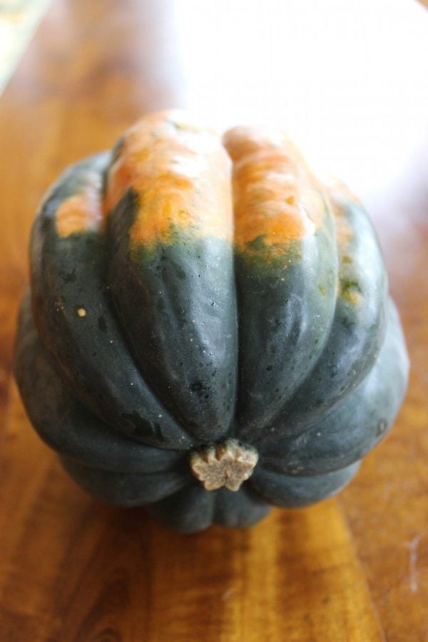 Acorn squash