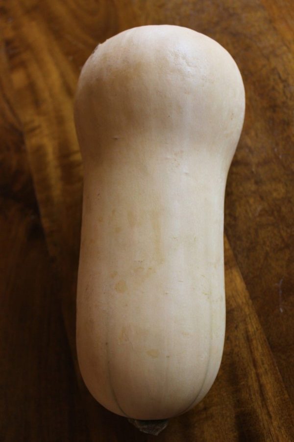 Butternut squash