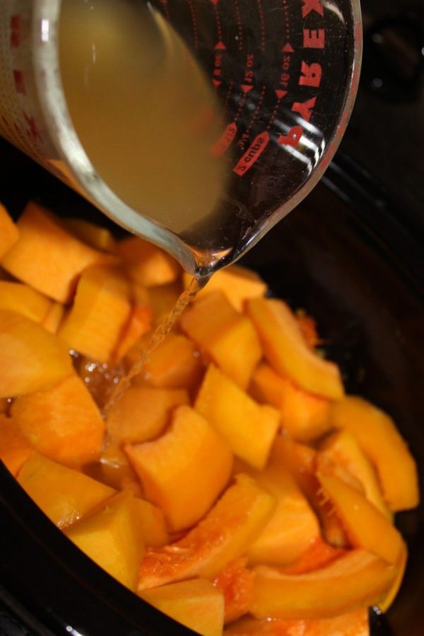 Add chicken stock to almost or just cover the squash.