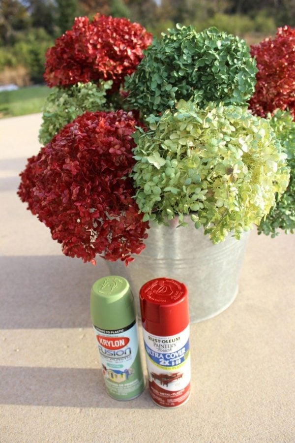 spray paint hydrangeas