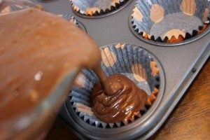 Topsy-Turvy-Cupcakes