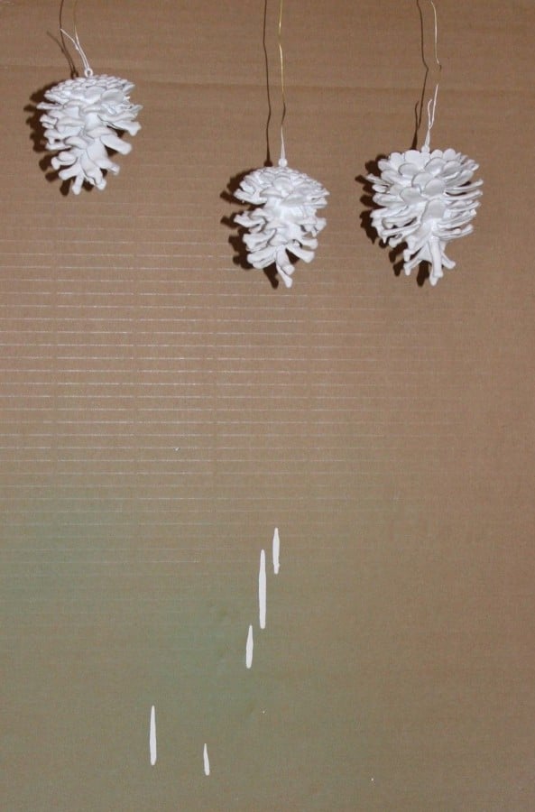 My white painted pinecones hanging to dry.