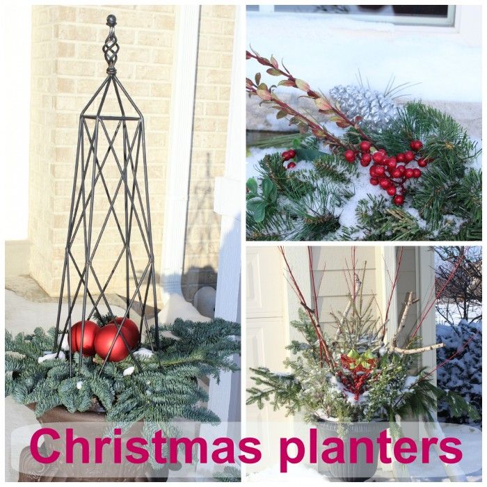 Christmas planters