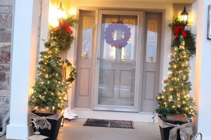 Christmas trees in planters with vintage sled in the background