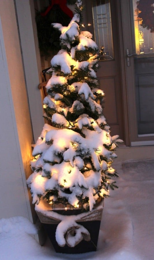 Closeup of christmas tree in a planter with fresh snowfall. White lights shining through the snow.