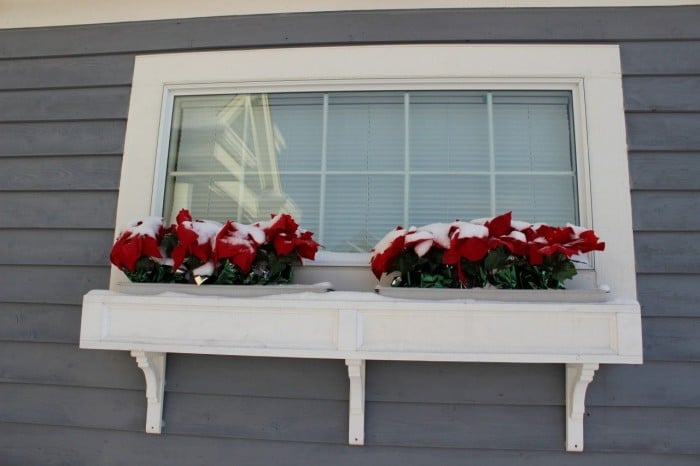 Poinsettias in a windowbox