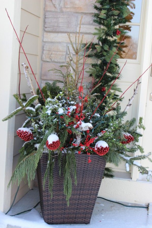 Large planter containing cuttings from evergreens, some red accents tucked in and some dogwoods.  