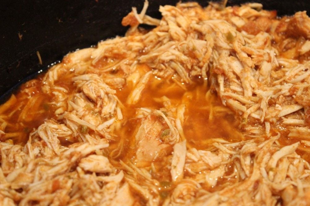 mix shredded chicken with the salsa
