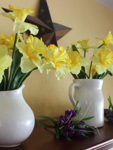 three white pitchers lined up with daffodils.
