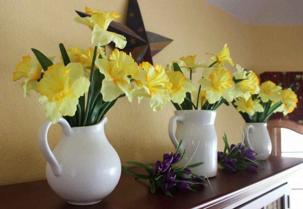 three white pitchers lined up with daffodils.
