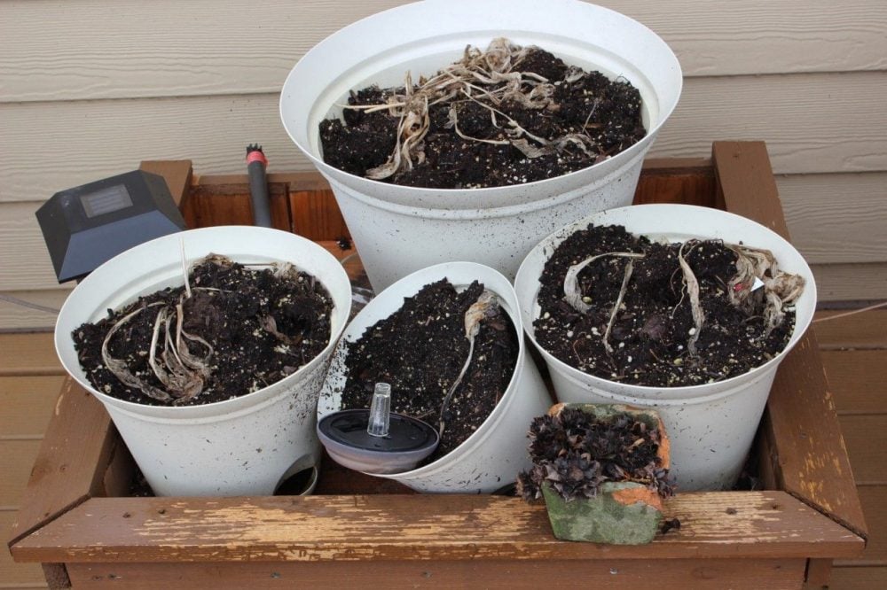 I made six galvanized trough planters that have held up for years