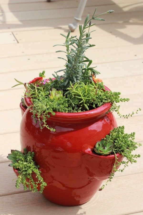 strawberry pot