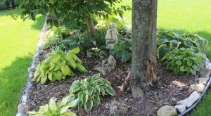 Joanne's Beautiful Garden - Momcrieff