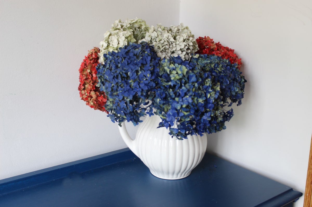 red white and blue painted hydrangeas in a white pitcher.