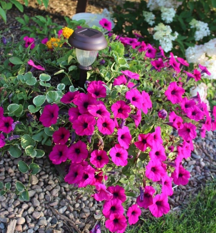 planter lighting