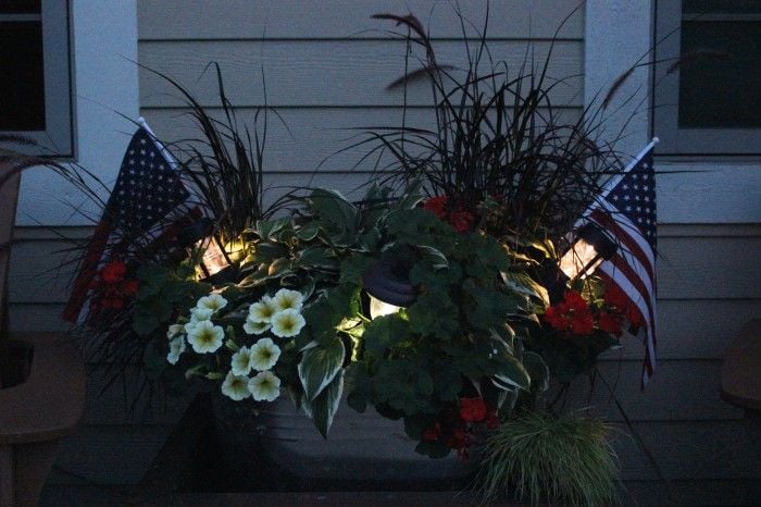 planter lighting