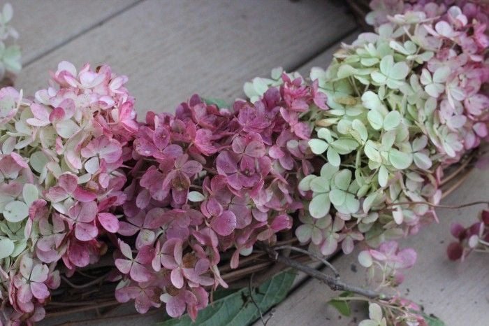 hydrangea wreath