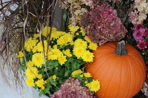 Fall Planter ideas! - Momcrieff