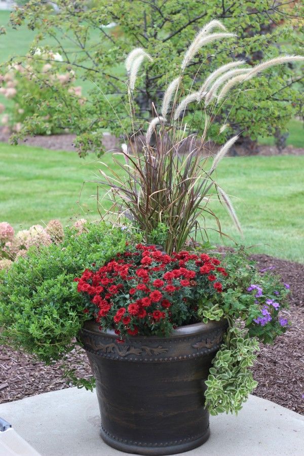 fall planters