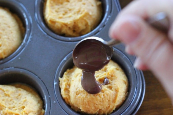 two ingredient pumpkin muffins