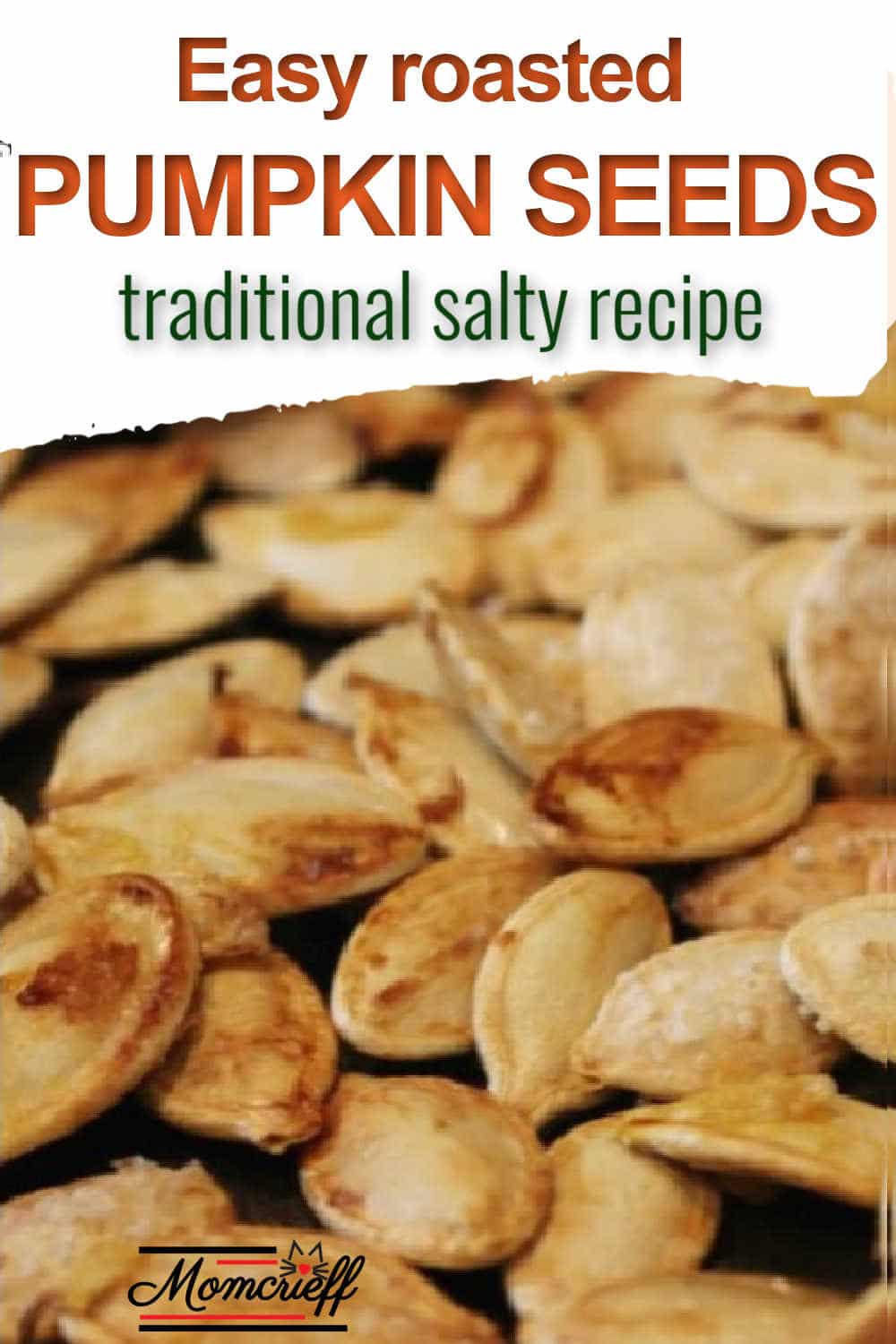 close up of salty roasted pumpkin seeds