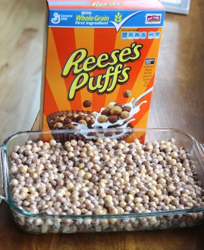 chocolate peanut butter cereal marshmallow treats