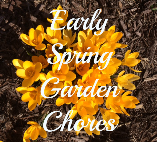 Early Spring Garden Chores. Do a little now, so there isn't so much to do later! Helps you get organized.