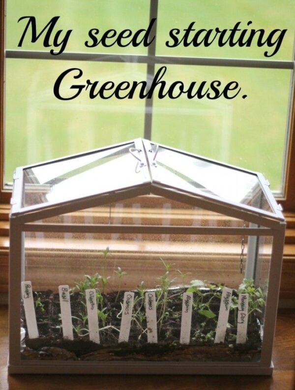 Seed starting greenhouse.