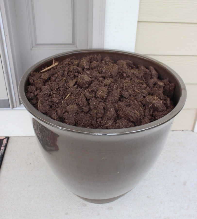 planter with dirt