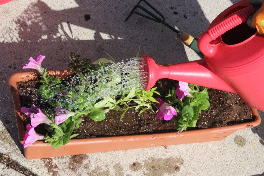 How to plant flower pots - Momcrieff