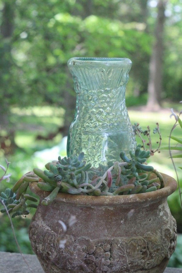 succulent containers