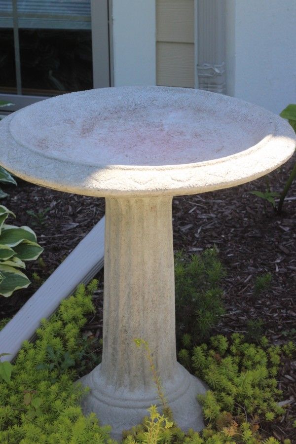 Download My succulent bird bath. - Momcrieff