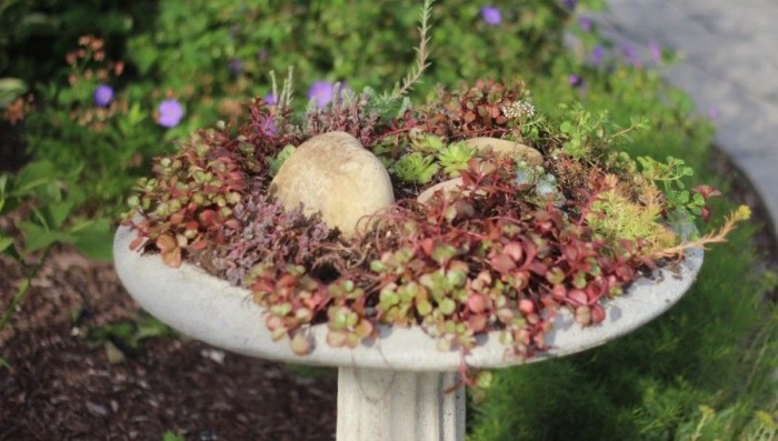 My Bird Bath Planter - Momcrieff