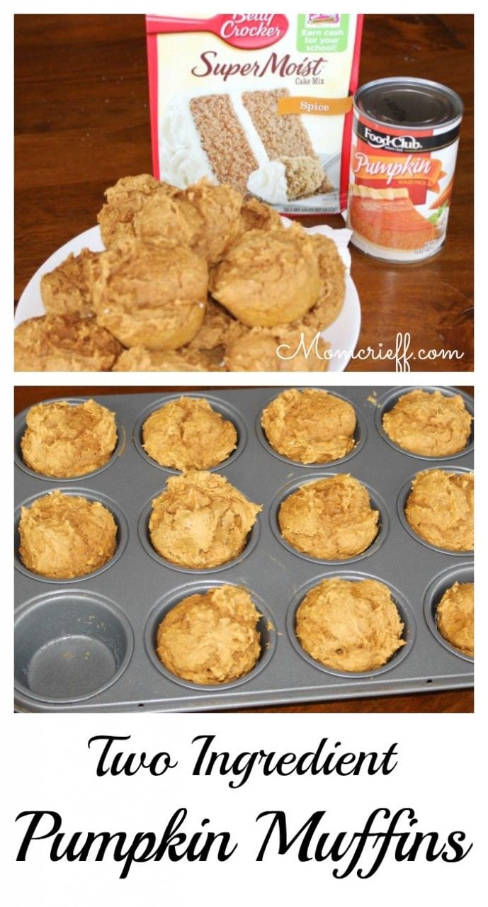 Two Ingredient Pumpkin muffins