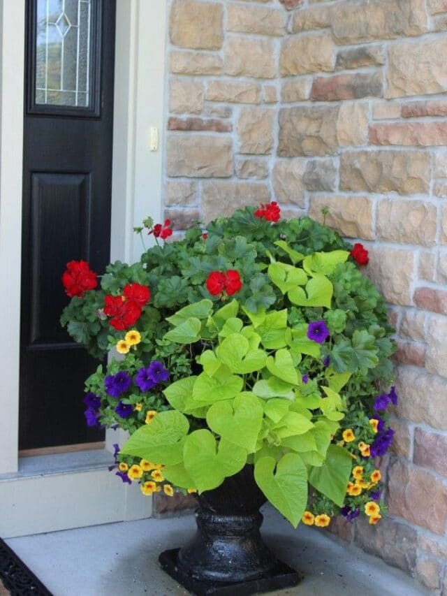 cropped-Planters-and-Containers-Category.jpg
