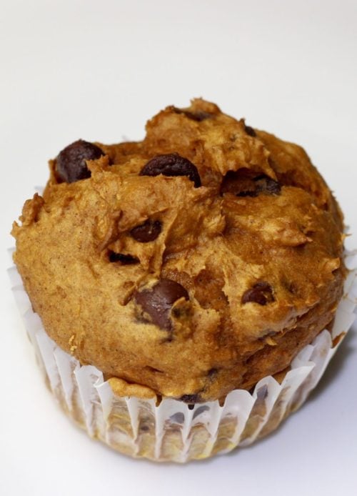 close up of pumpkin chocolate chip muffin