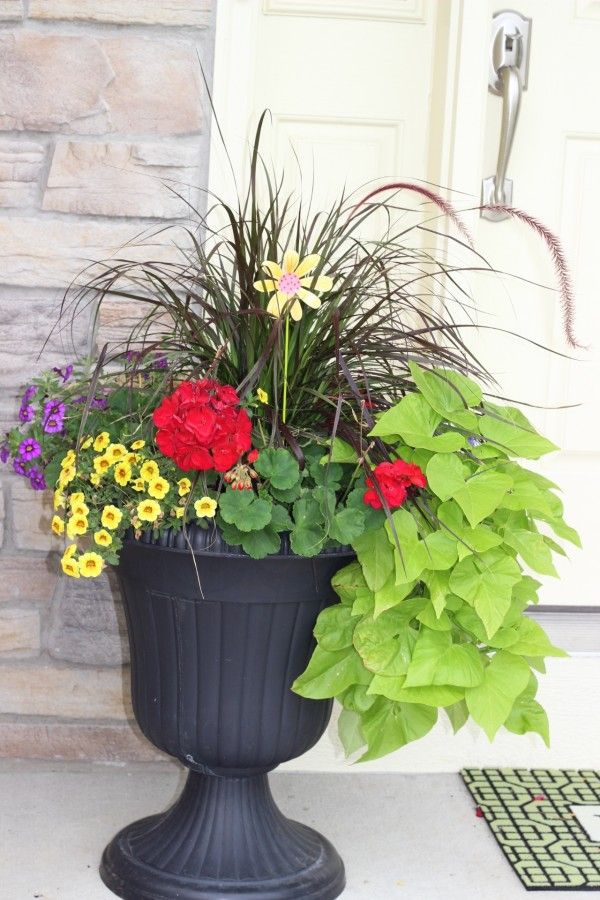 Ideas From 20 Planters From My Neighborhood Page 2 Of 2 Momcrieff