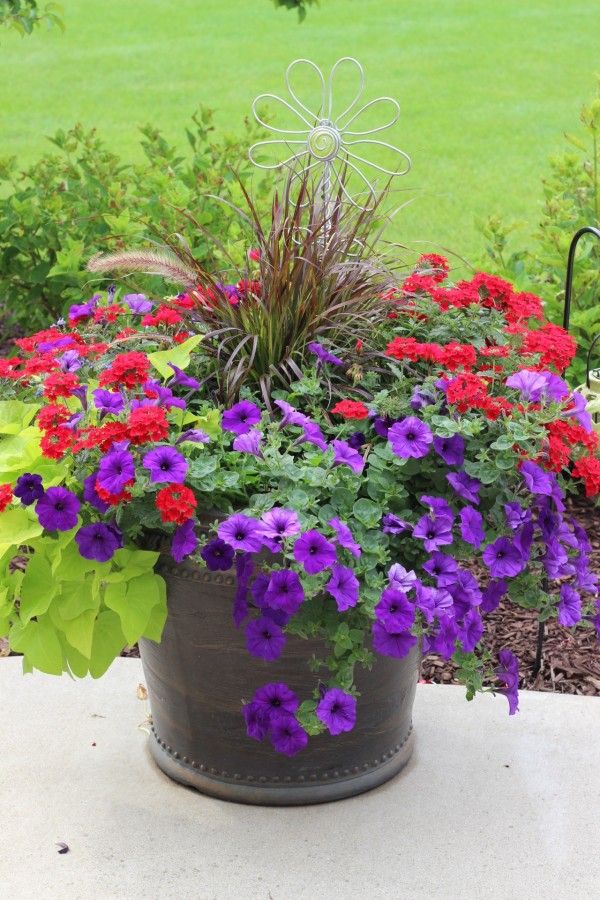 Over 20 flower planter ideas from my neighborhood! - Momcrieff