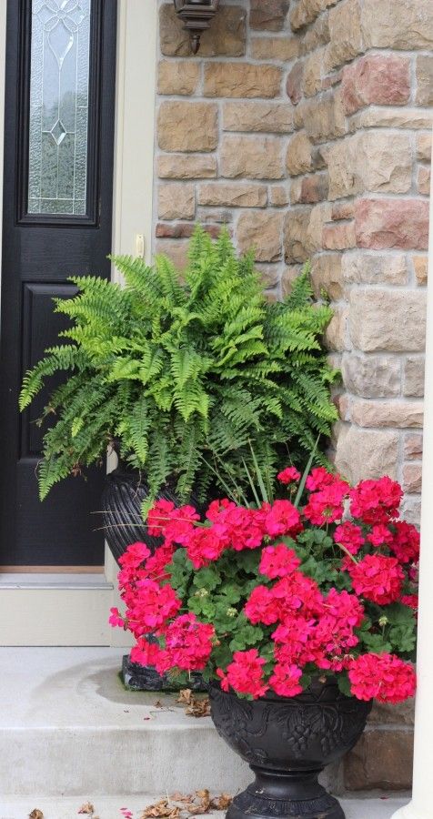 25+ Flower pot ideas - Momcrieff