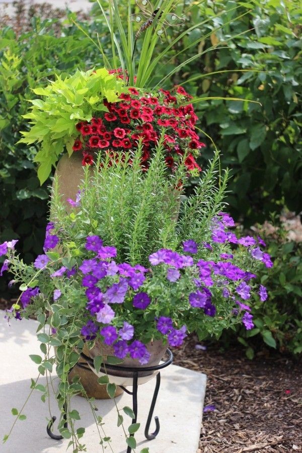 Over 20 flower planter ideas from my neighborhood! - Momcrieff