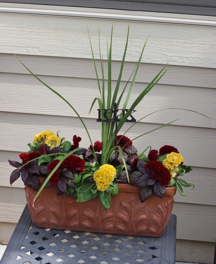 small planter with yellow and red flowers on an outdoor table