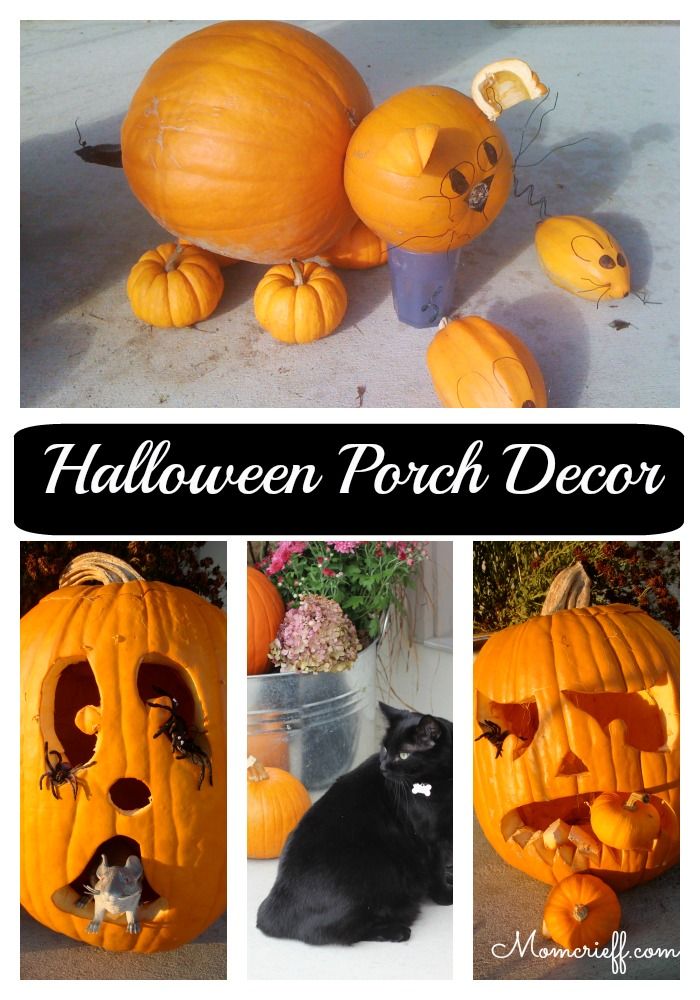 Halloween. Lots of different pumpkins on our porch over the years. Some ideas you can use for your Jack-o-Lantern!