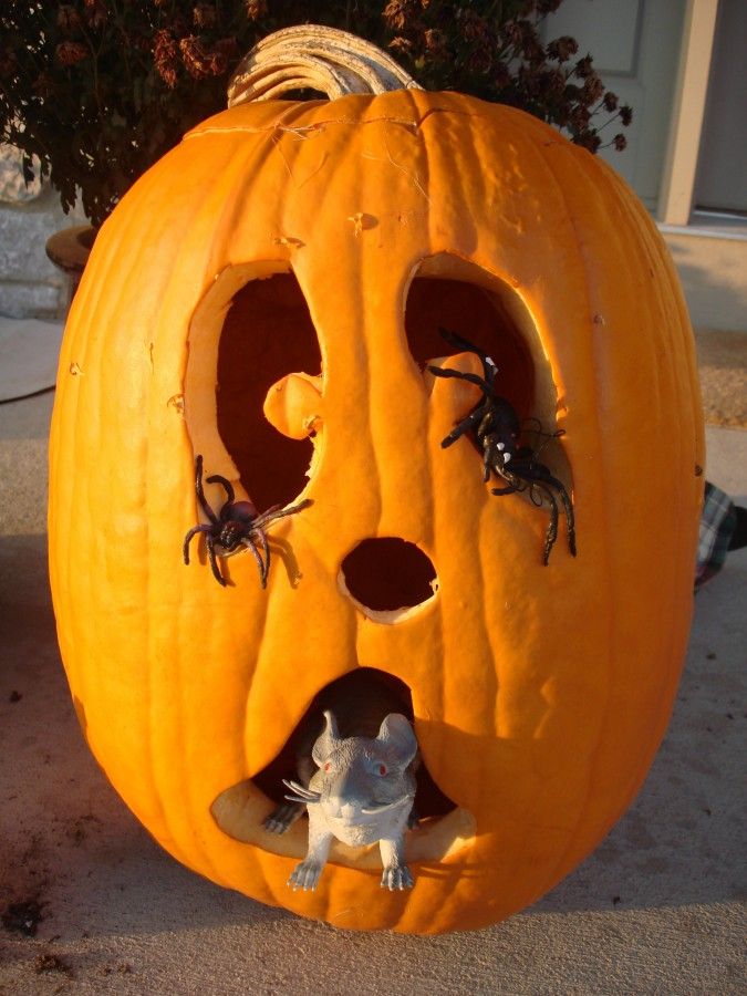 Porch and pumpkin