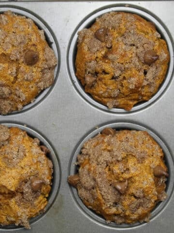 pumpkin chocolate chip muffins in muffin tins.