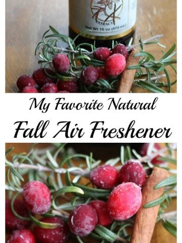 Fall Air freshener
