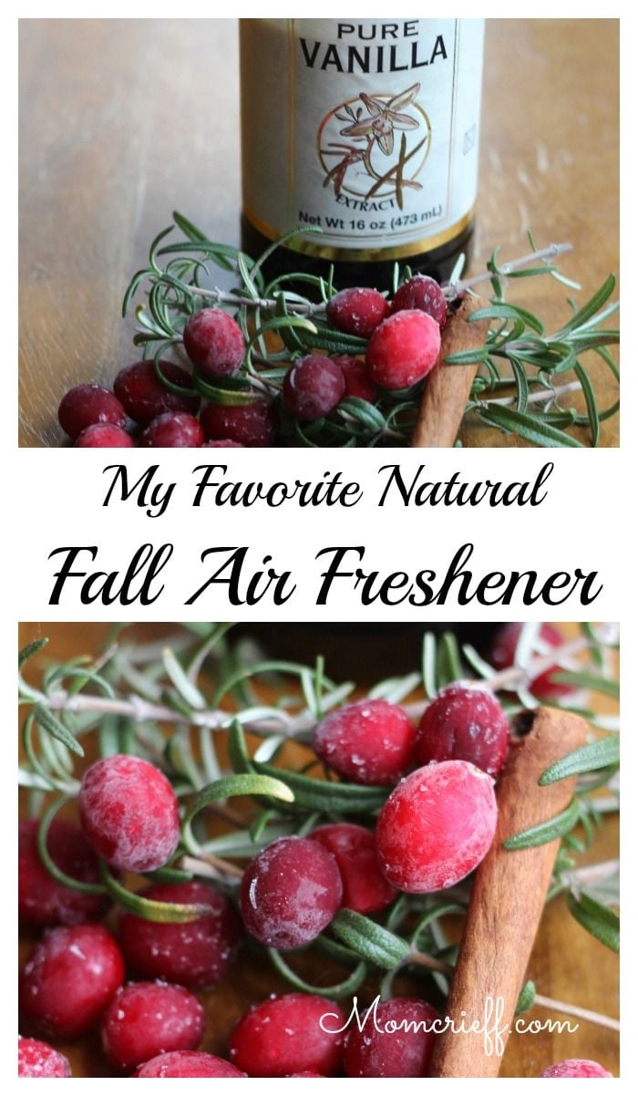 Fall Air freshener